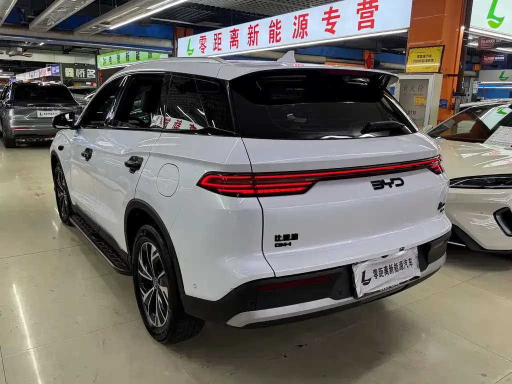 BYD Pro New Energy — фото 4