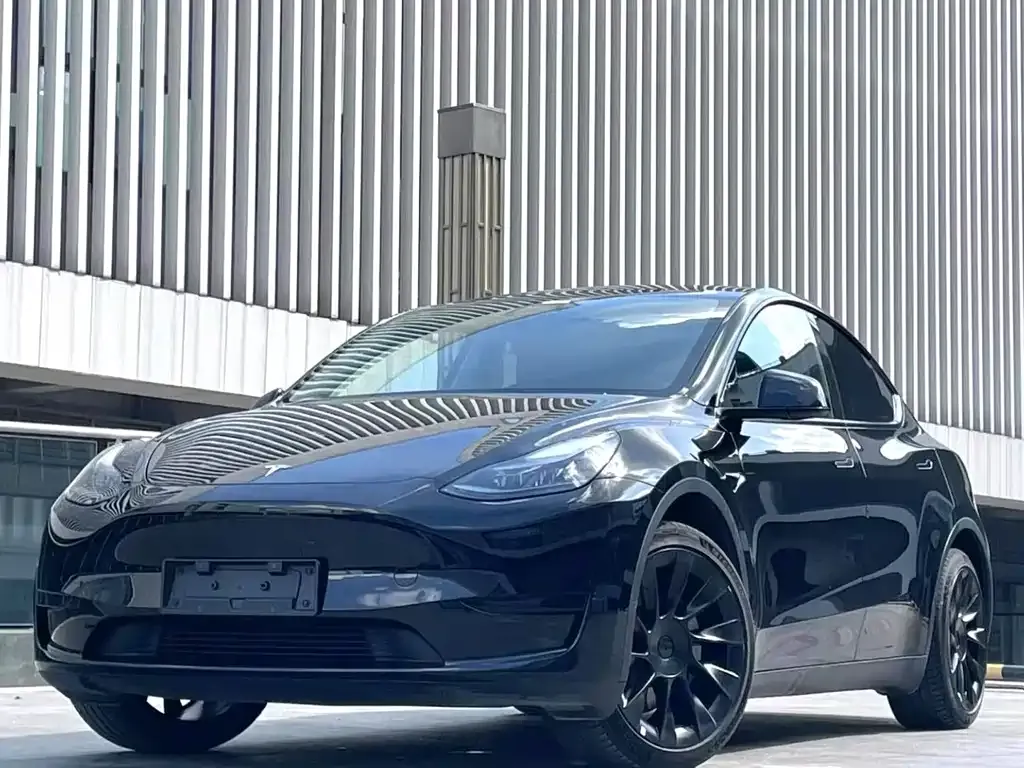 Tesla Model Y — фото 1
