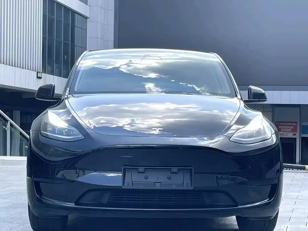 Tesla Model Y — фото 2