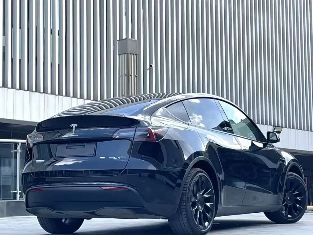 Tesla Model Y — фото 4