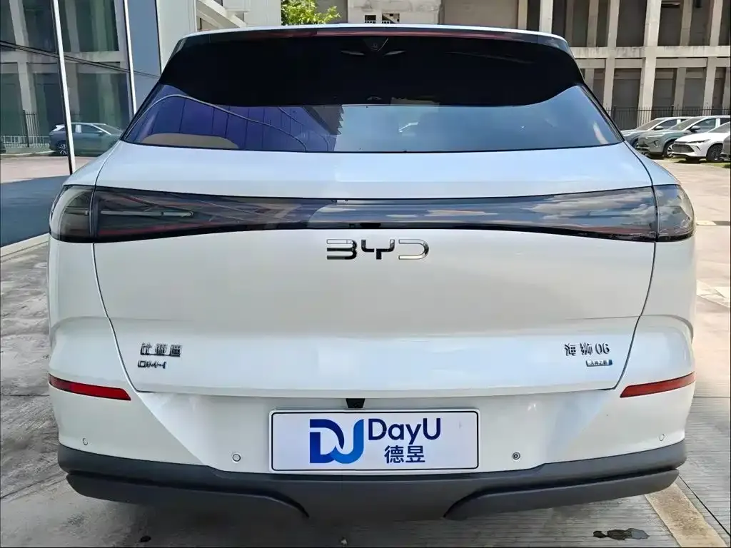 BYD Sealion 06 — фото 6