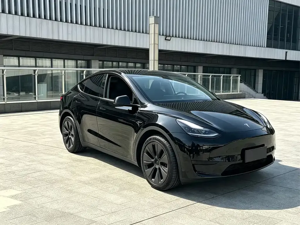 Tesla Model Y — фото 9