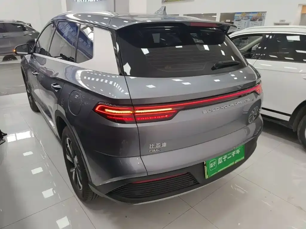 BYD Pro New Energy — фото 10