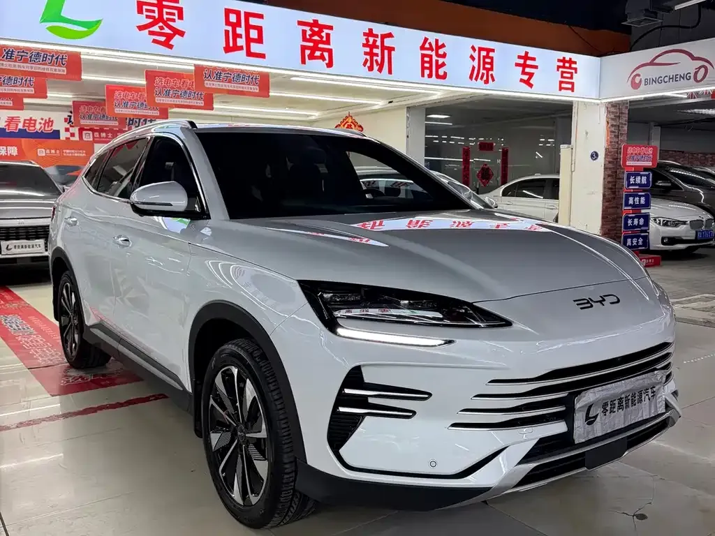 BYD PLUS New Energy — фото 1