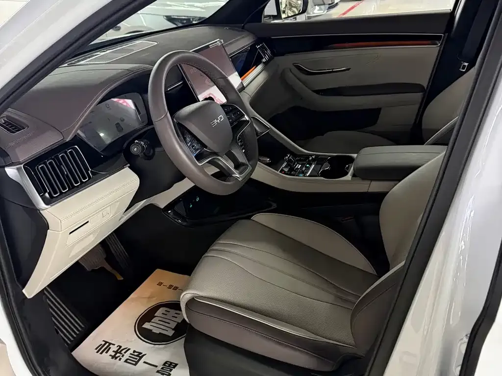 BYD PLUS New Energy — фото 3