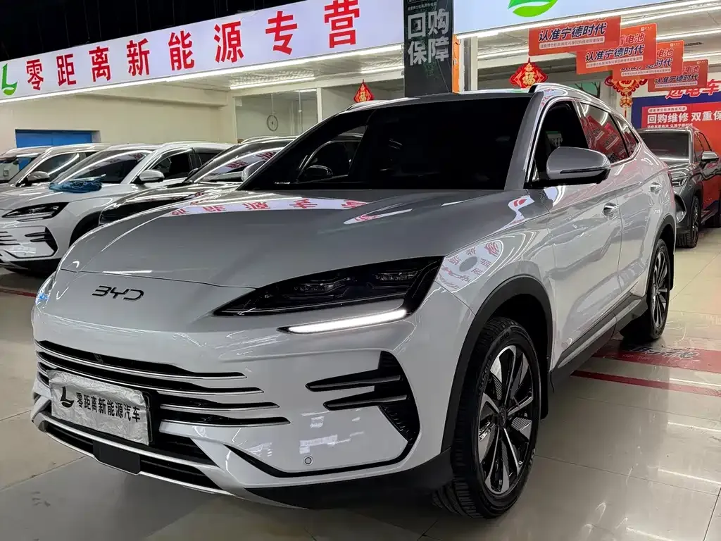 BYD PLUS New Energy — фото 4