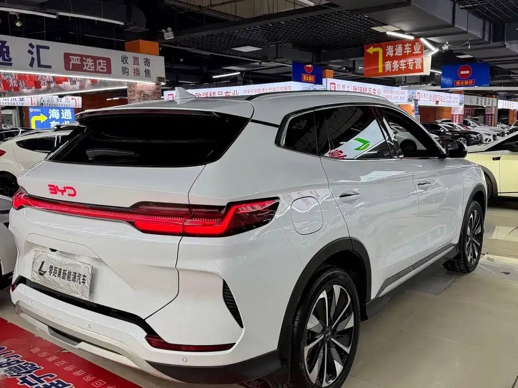 BYD PLUS New Energy — фото 8