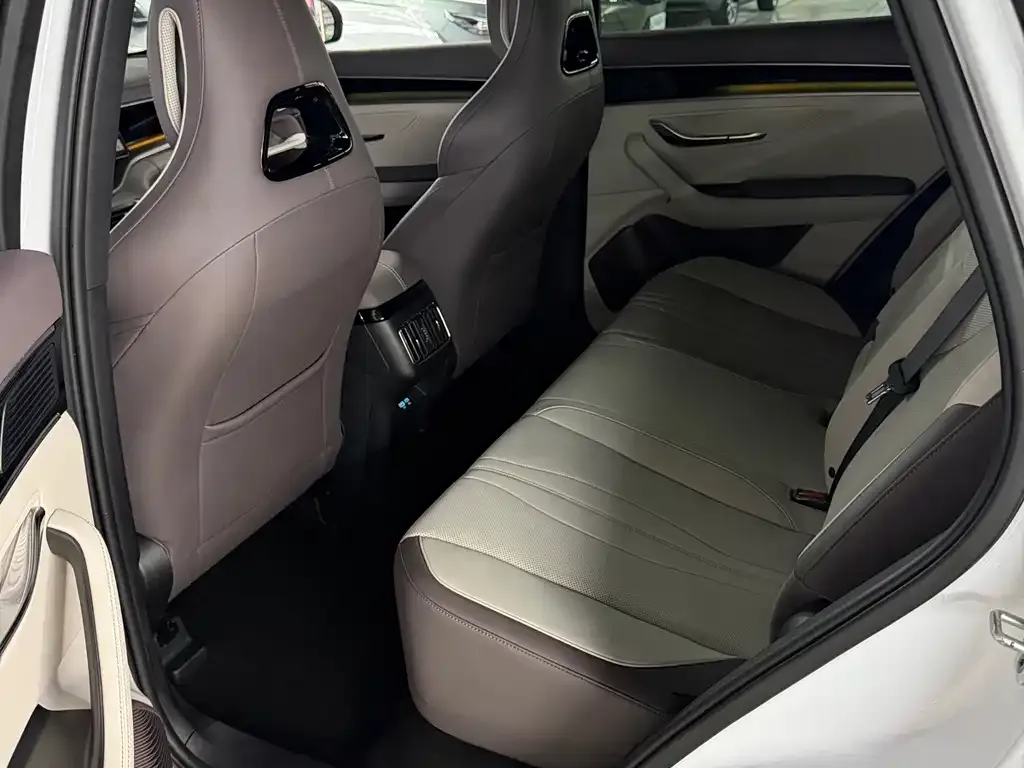 BYD PLUS New Energy — фото 10