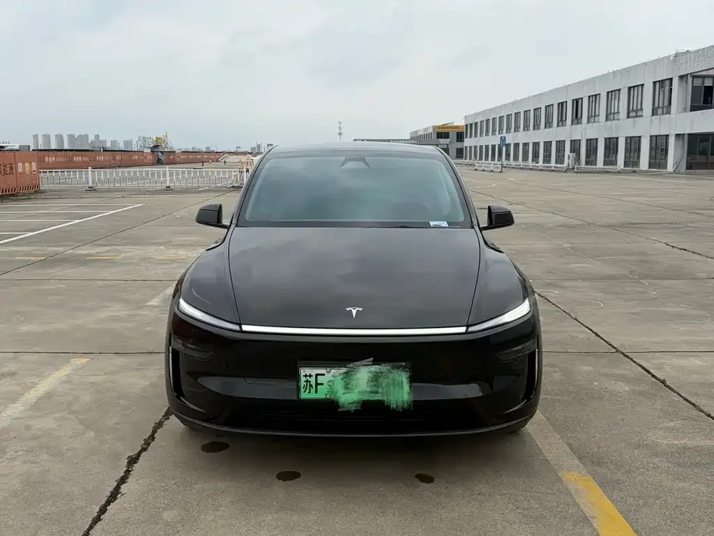 Tesla Model Y — фото 9