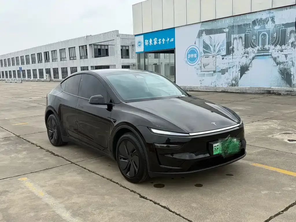 Tesla Model Y — фото 2