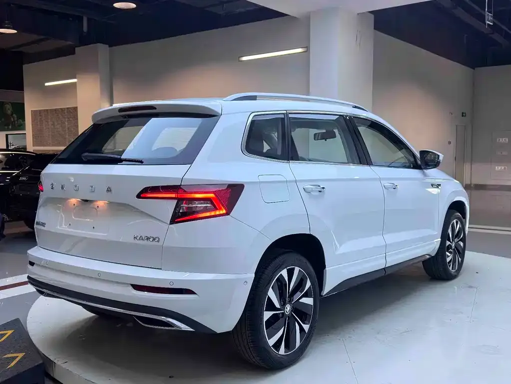 Skoda Karoq — фото 9