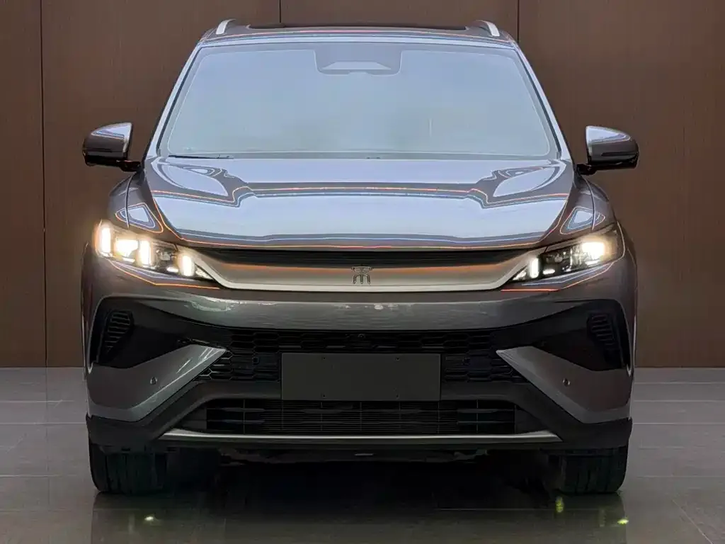 BYD Pro New Energy — фото 1
