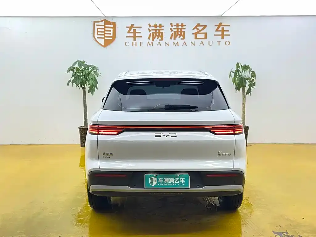 BYD Pro New Energy — фото 4