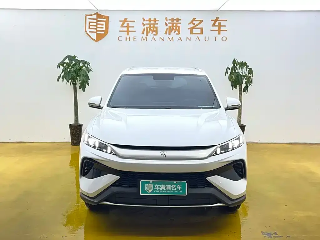 BYD Pro New Energy — фото 6
