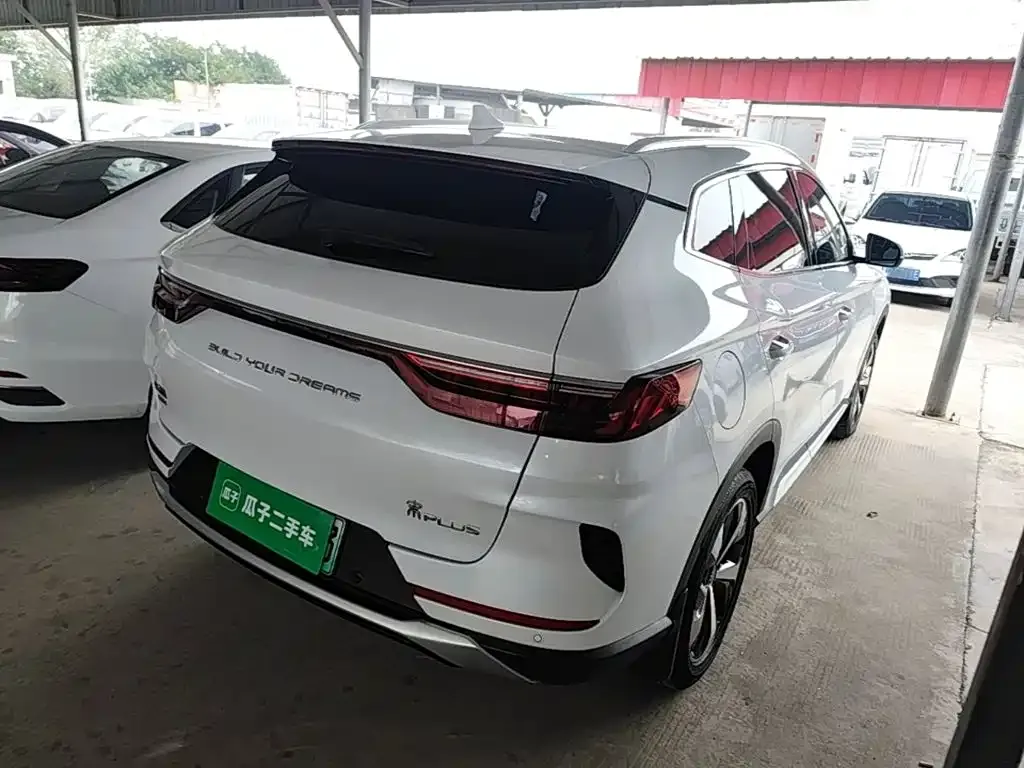 BYD PLUS New Energy — фото 3