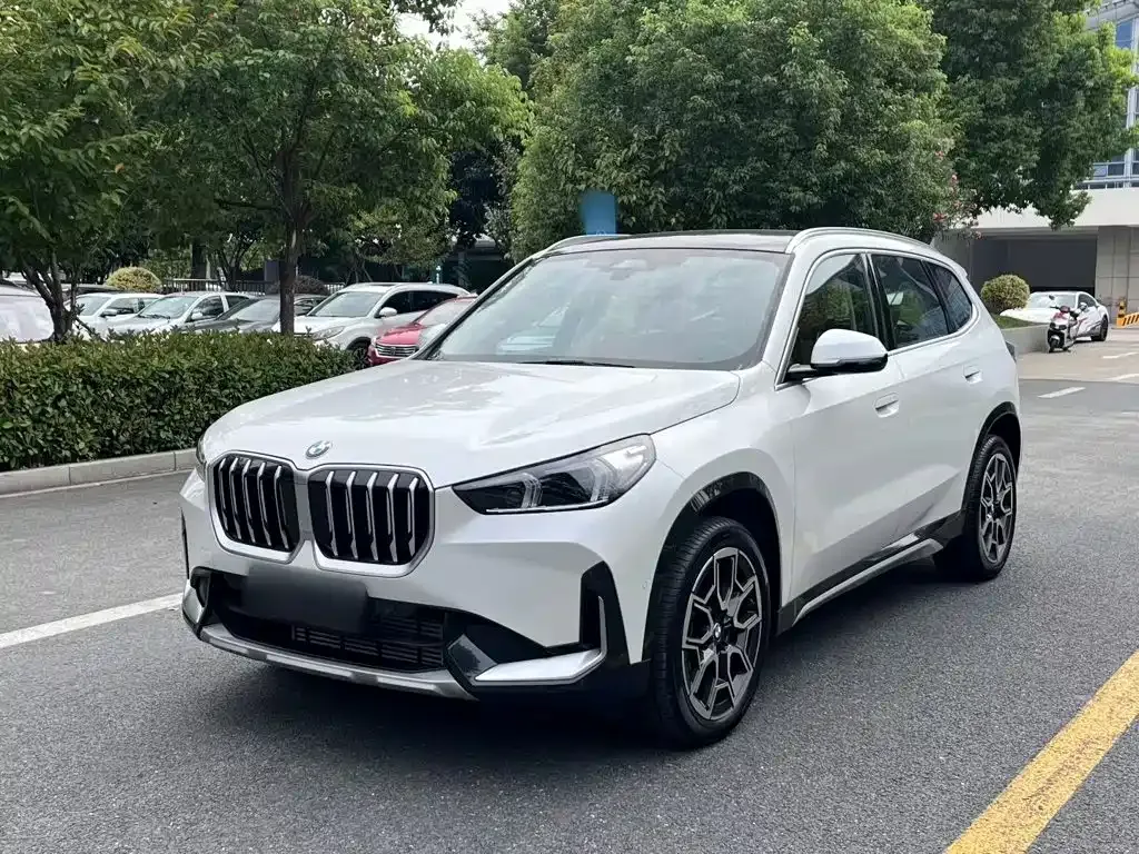 BMW X1 — фото 1