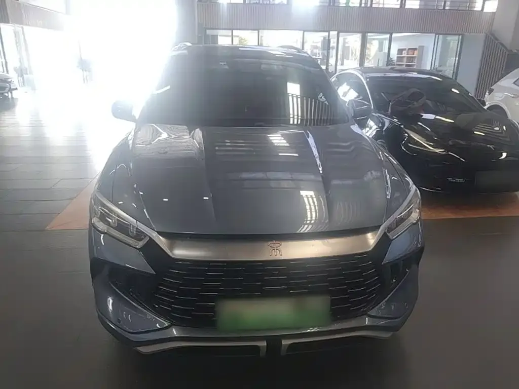 BYD Pro New Energy — фото 7