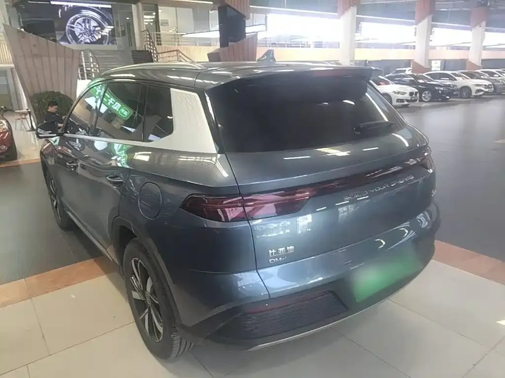 BYD Pro New Energy — фото 3