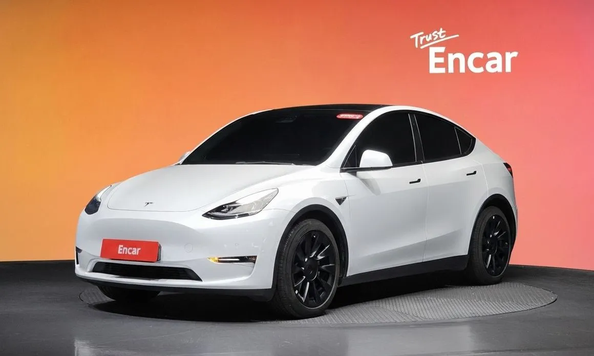 Tesla Model Y — фото 1