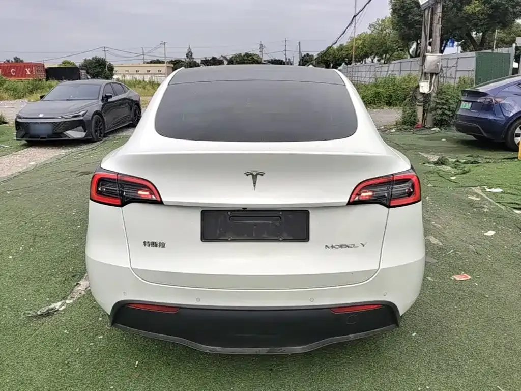 Tesla Model Y — фото 5