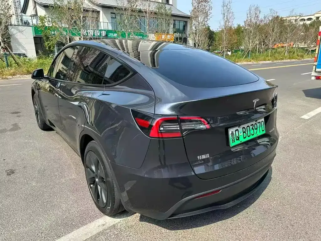 Tesla Model Y — фото 3