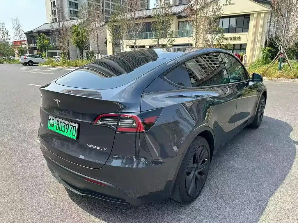 Tesla Model Y — фото 8
