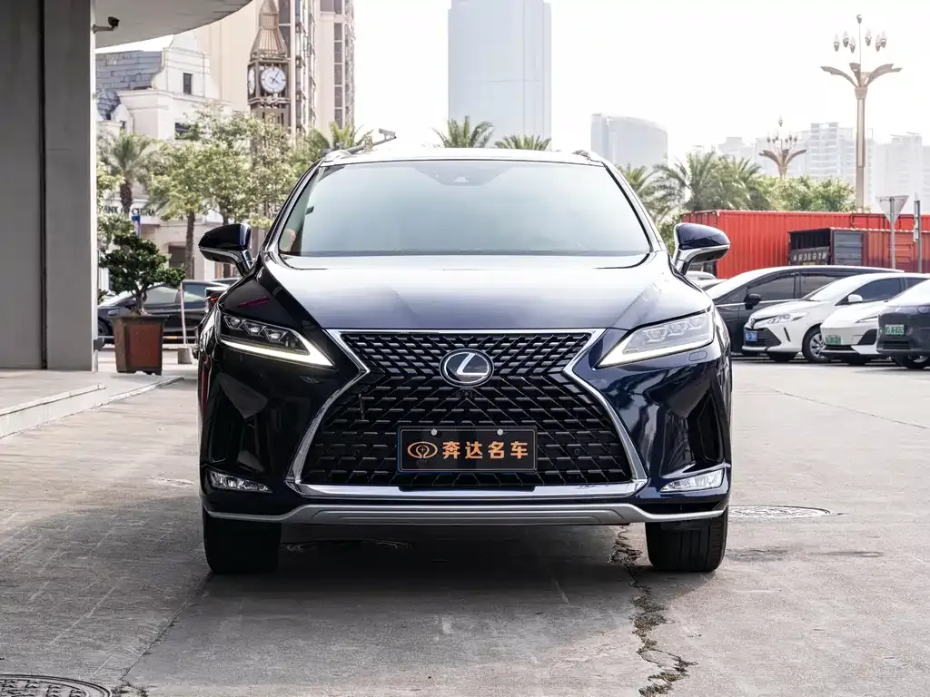 Lexus RX — фото 10