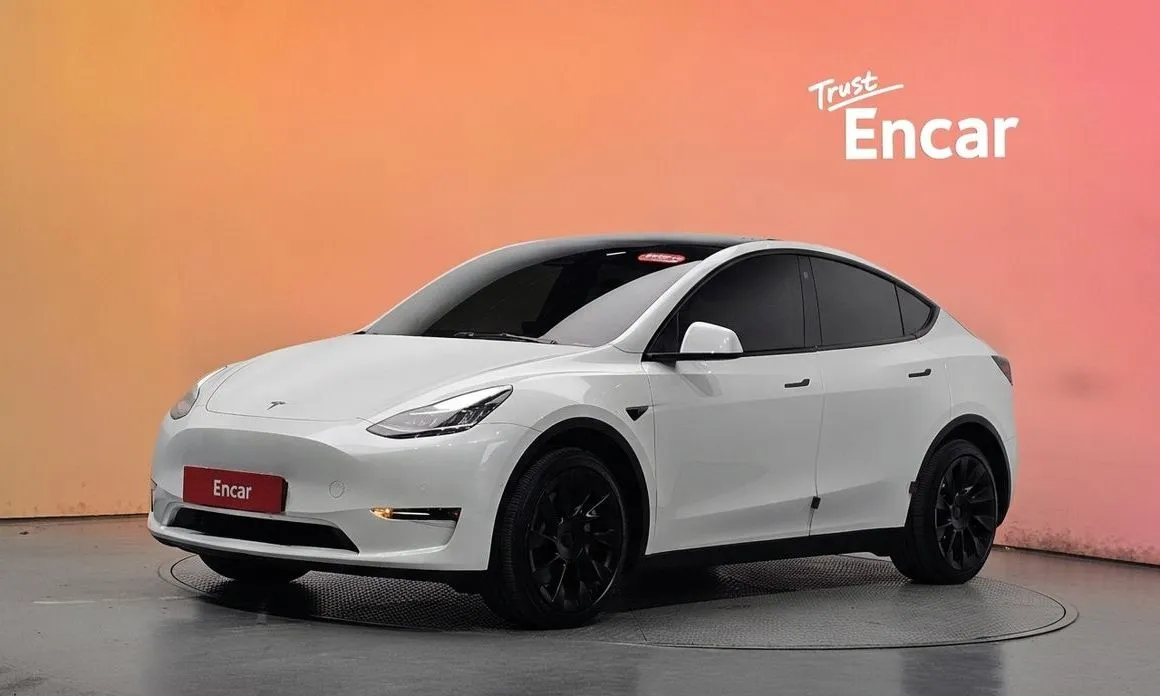 Tesla Model Y — фото 1