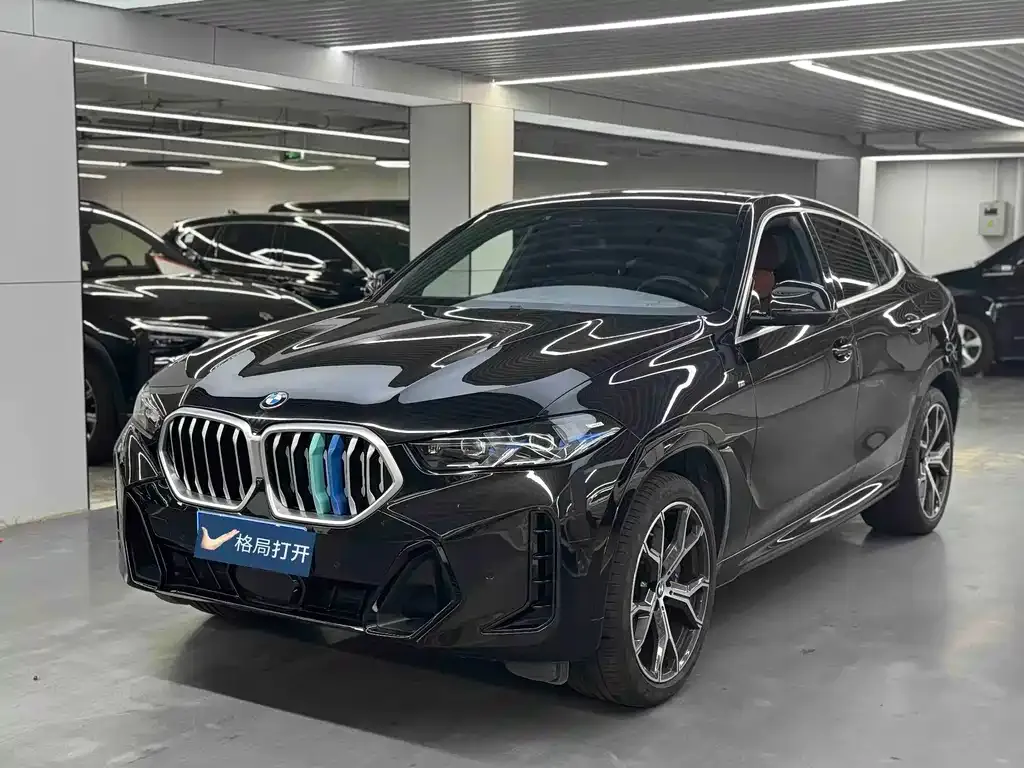 BMW X6 — фото 1