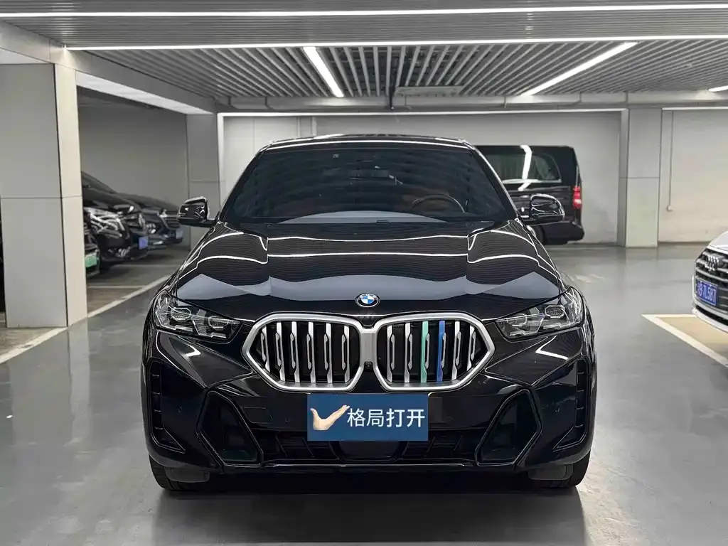 BMW X6 — фото 9