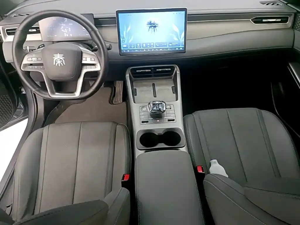 BYD Qin PLUS — фото 4