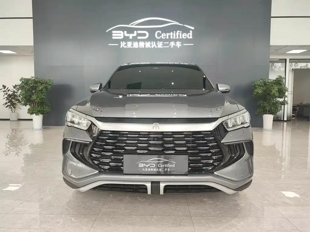 BYD Pro New Energy — фото 10
