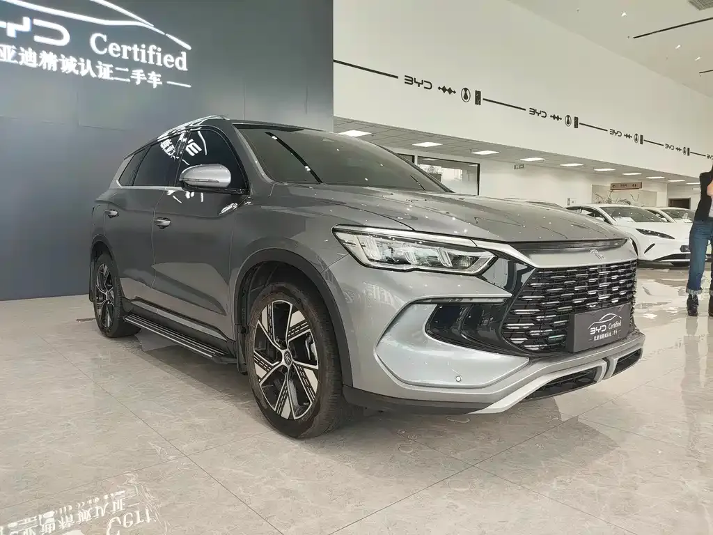 BYD Pro New Energy — фото 2