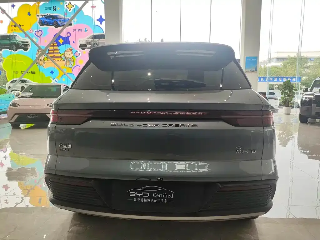 BYD Pro New Energy — фото 3