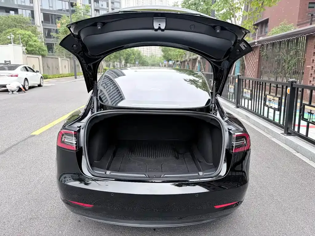 Tesla Model 3 — фото 3