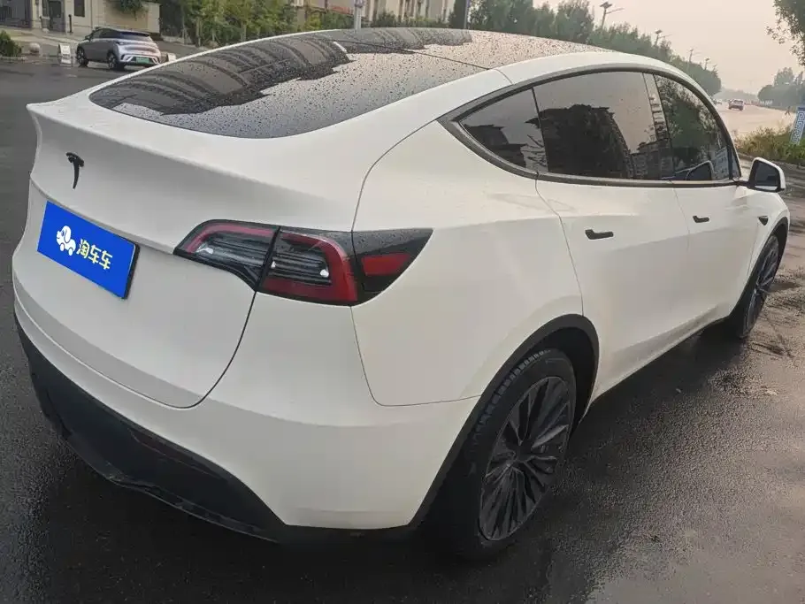 Tesla Model Y — фото 3