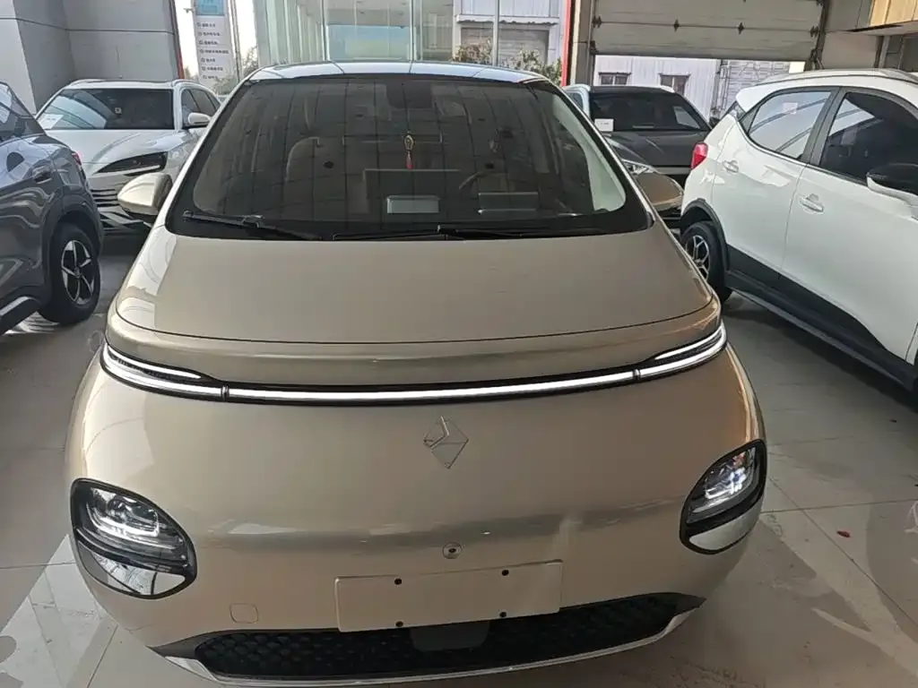 Baojun Yunduo — фото 10