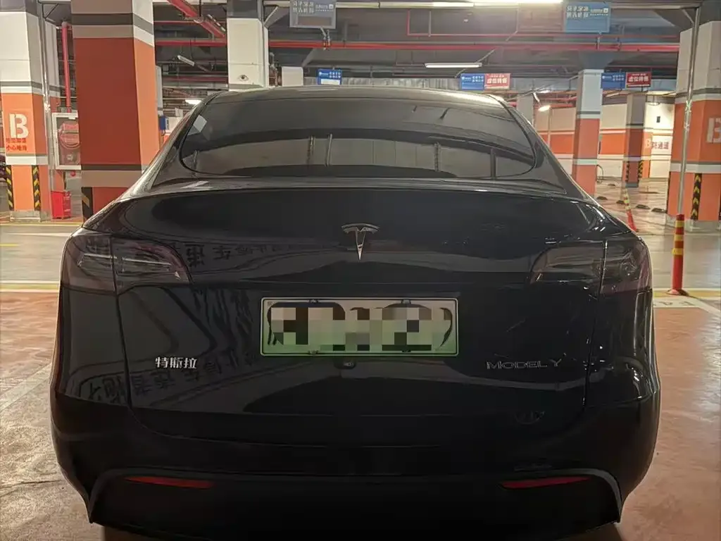 Tesla Model Y — фото 8
