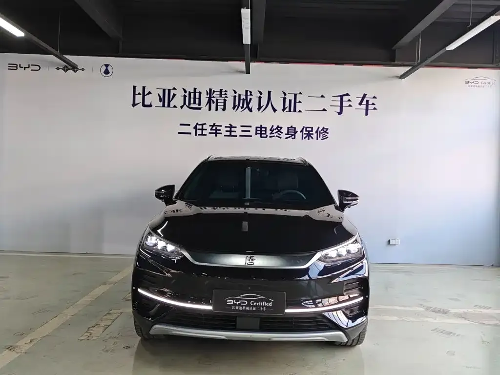 BYD Tang New Energy — фото 10