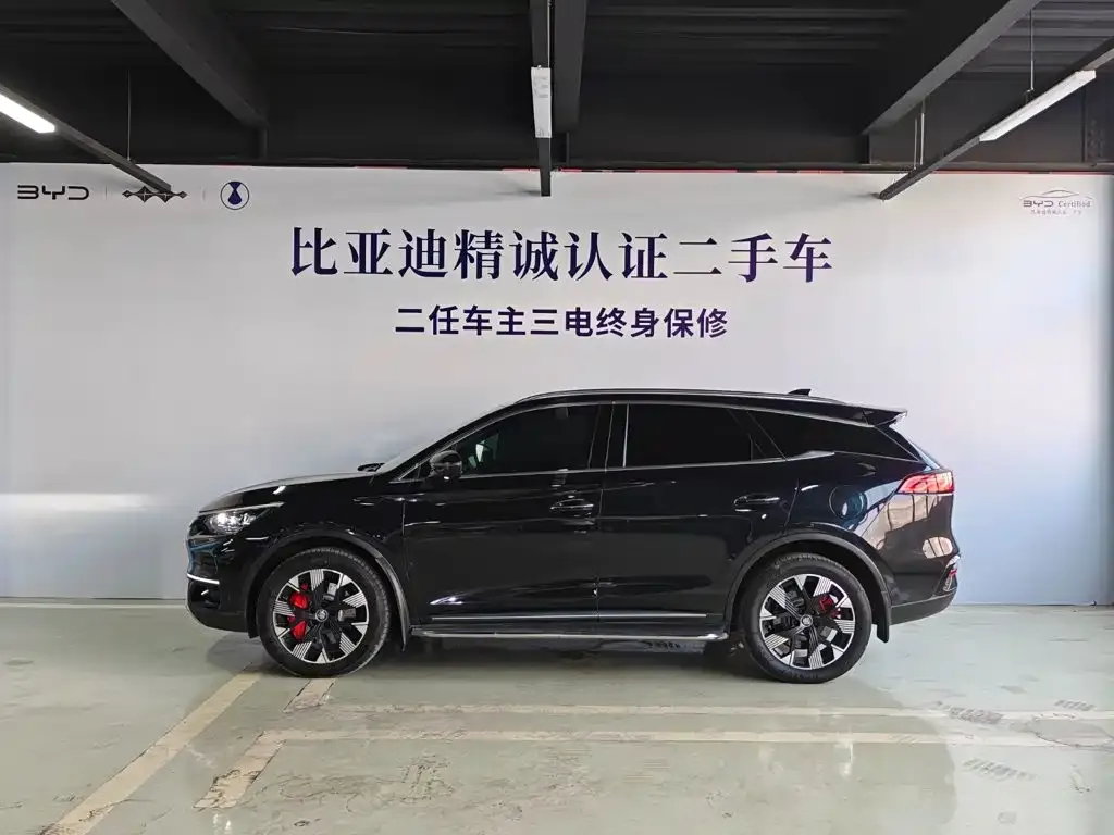 BYD Tang New Energy — фото 9