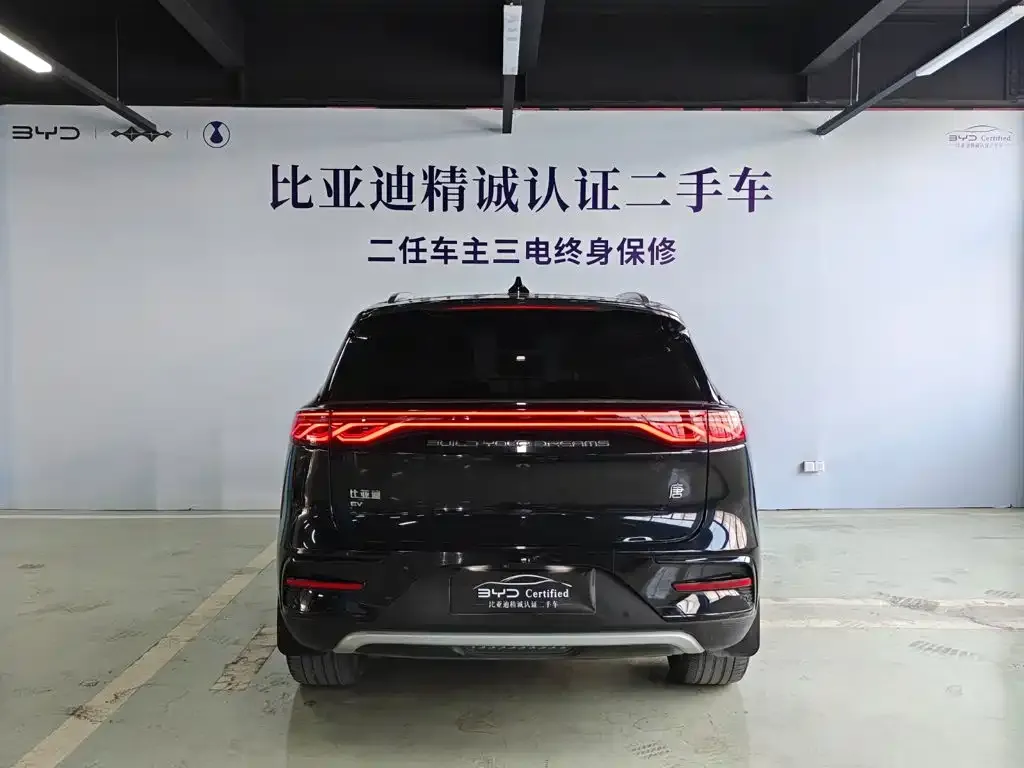 BYD Tang New Energy — фото 3