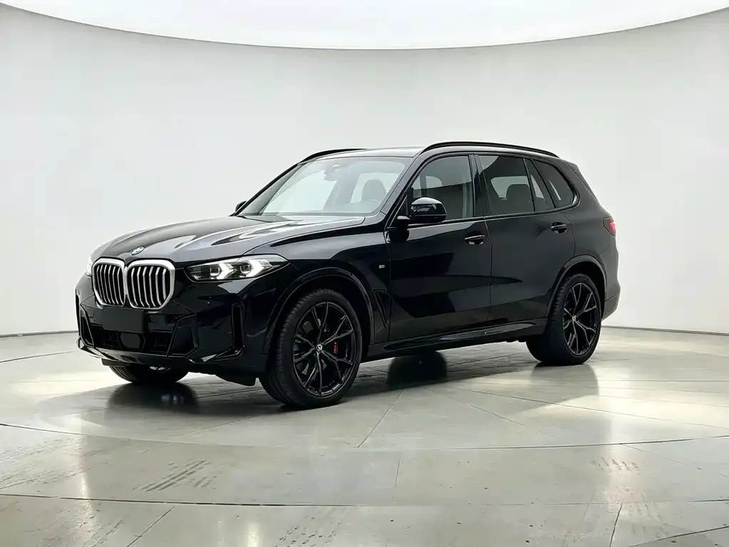 BMW X5 — фото 1