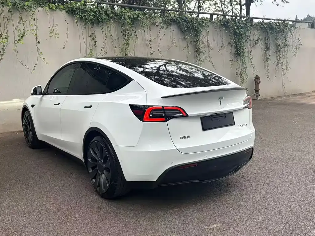 Tesla Model Y — фото 1