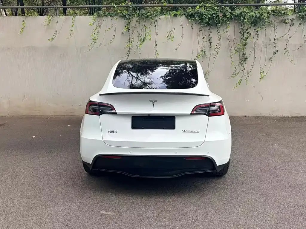 Tesla Model Y — фото 10
