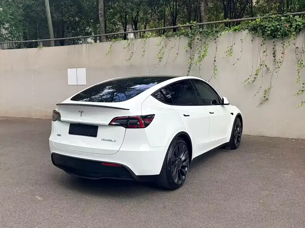 Tesla Model Y — фото 9