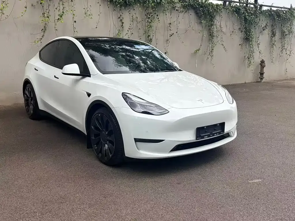 Tesla Model Y — фото 6