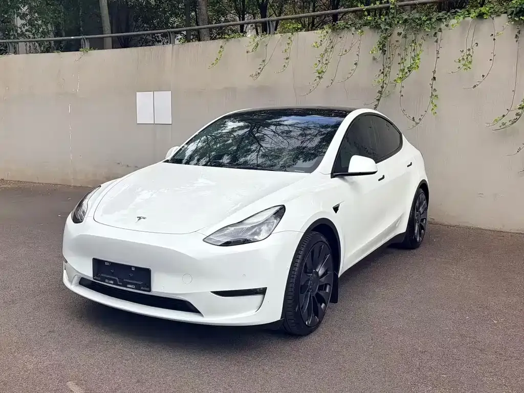 Tesla Model Y — фото 8