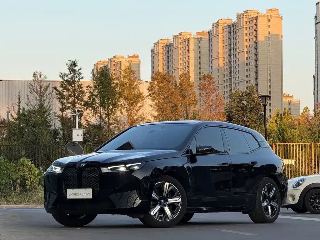 BMW iX — фото 1