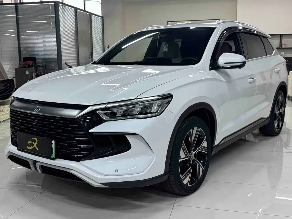 BYD Pro New Energy — фото 1
