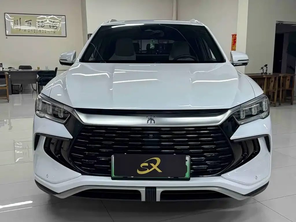 BYD Pro New Energy — фото 6